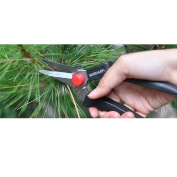 SHEARS