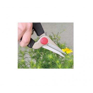 SHEARS