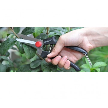 SHEARS