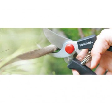 SHEARS