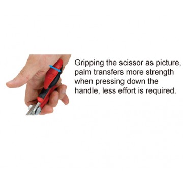 SHEARS